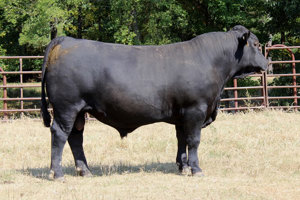 TJB 149X SNM 509C-ET